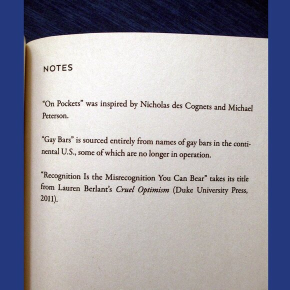 Book - Anybody: Poems, by Ari Banias - Picture 8 of 10